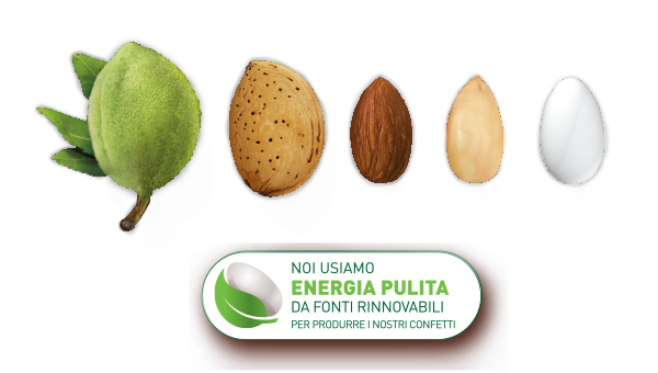 Confetti Crispo:<br />
Efficiente, Responsabile ed Ecosostenibile
