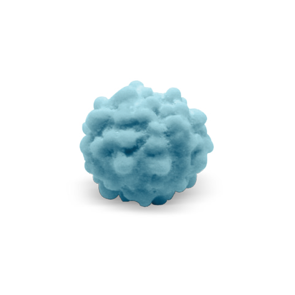 Blue mimosas