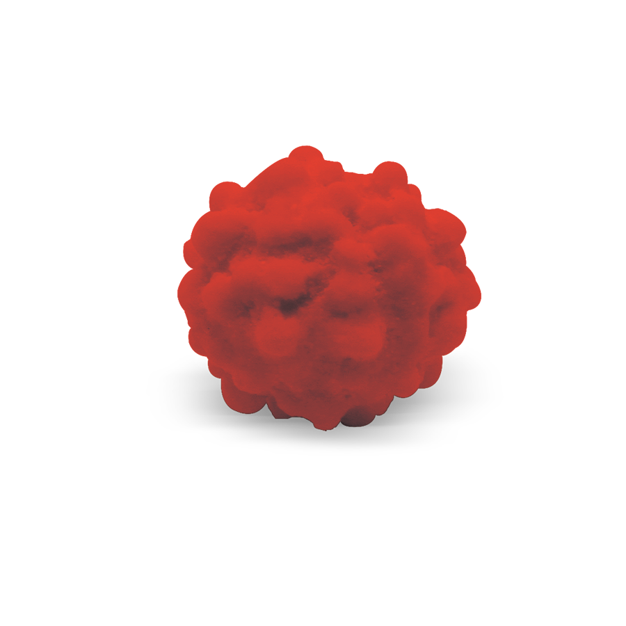 Mimose rosse