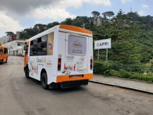 campagna crispo 10