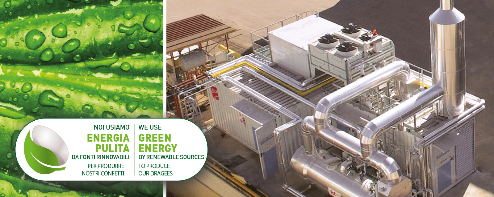 Eco sustainable production