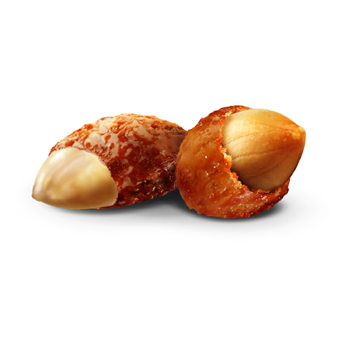 Mandorle e arachidi caramellate